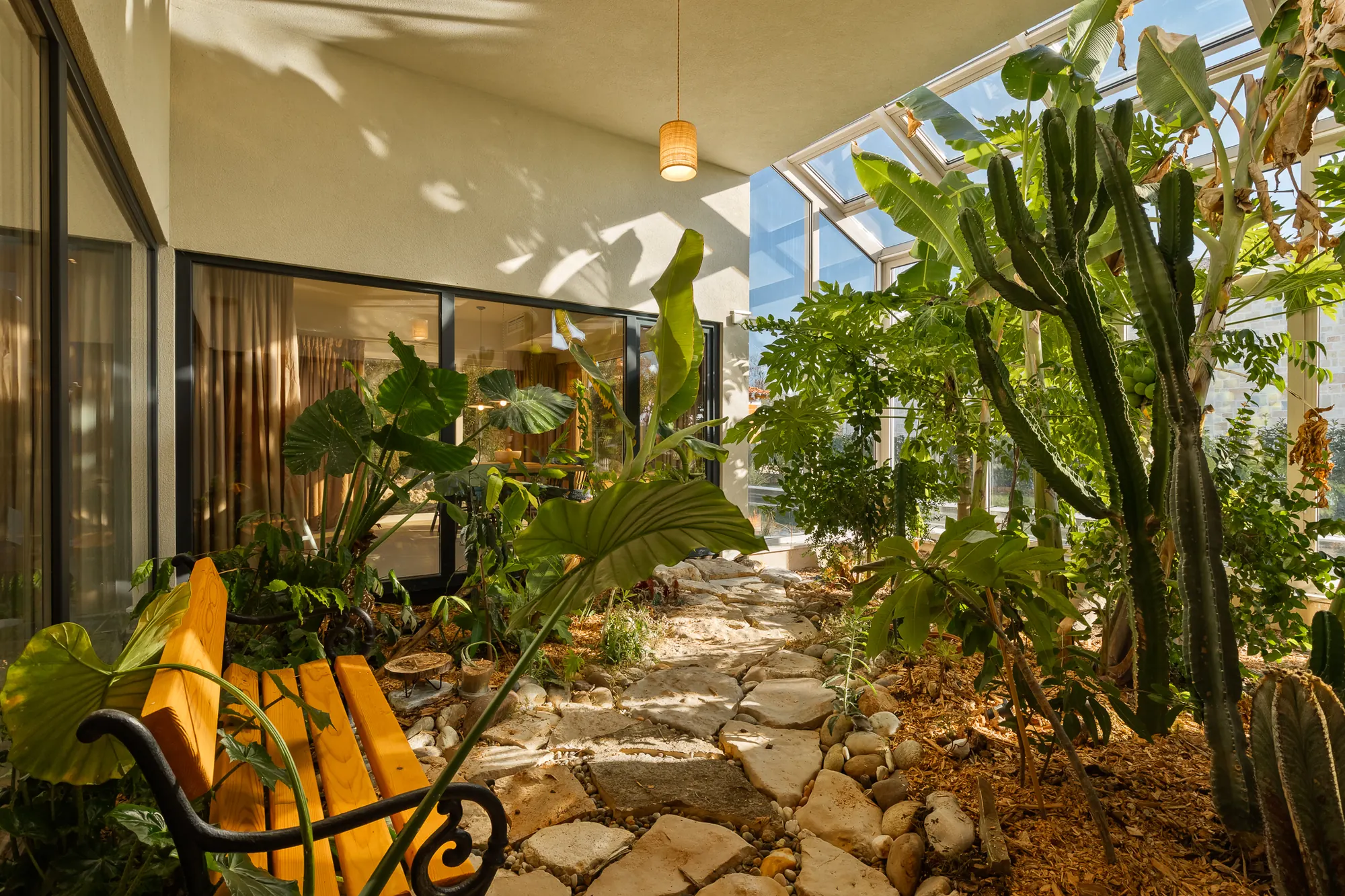 Greenhouse tropical interior